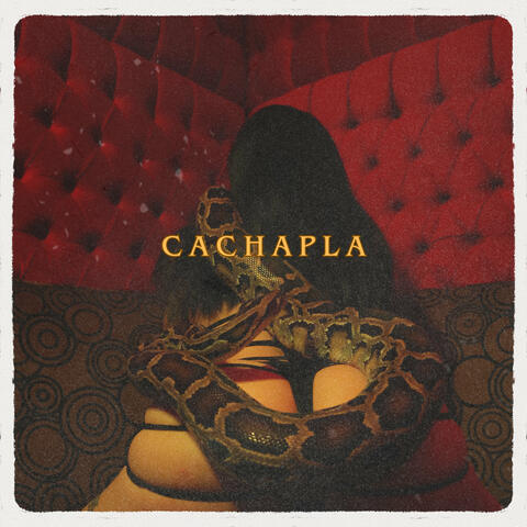 Cachapla