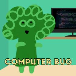 Computer Bug