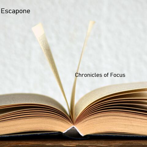 Chronicles of Focus