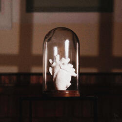 The Fade Out