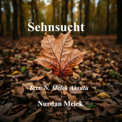 Sehnsucht (3)