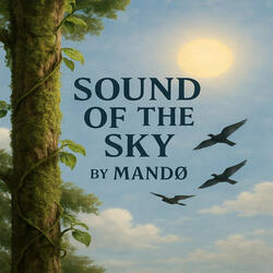 Sound of the Sky