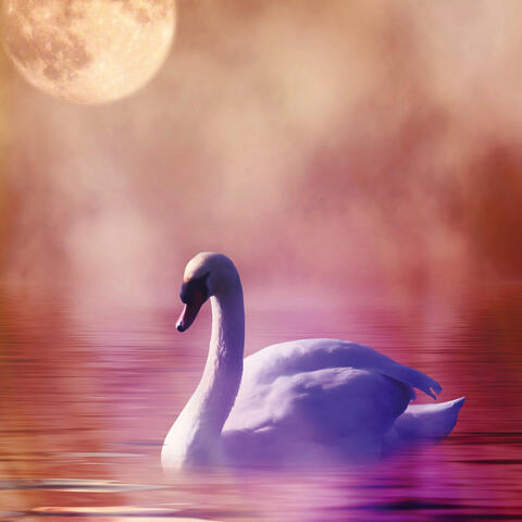 Evening Light (Relaxing Version)