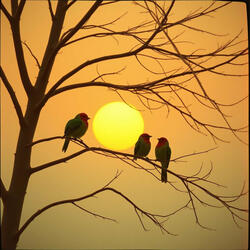 Birdsong Morning