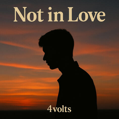 Not in Love