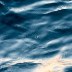 Beauty in the Ocean