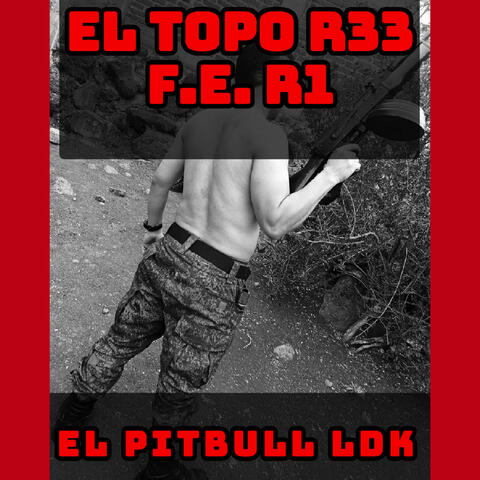 El Topo R33 F.E.R1