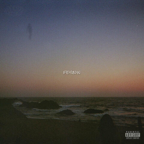 Feignin