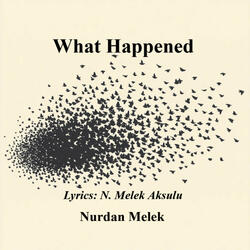 What Happened