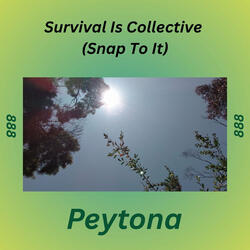 Survival Is Collective (Snap to It)