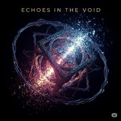 Echoes in the Void