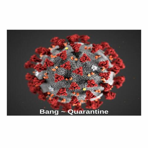 Quarantine