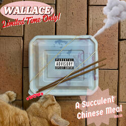 A Succulent Chinese Meal