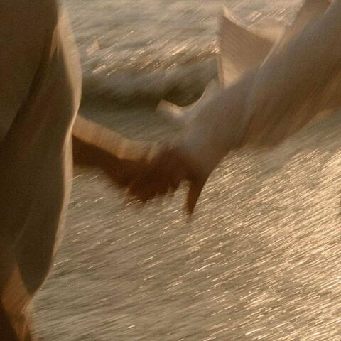 Separate Ways