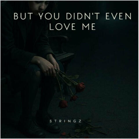But You Didn't Even Love Me