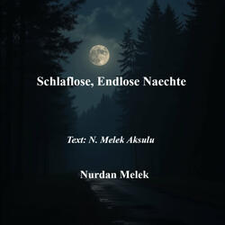 Schlaflose, Endlose Nächte