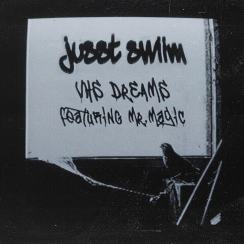 VHS Dreams