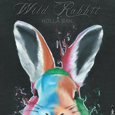 Wild Rabbit