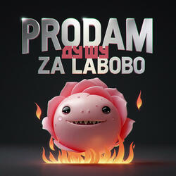 Prodam Dushu Za Labobo