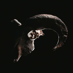 M. O. N. E. Y. I. S. G. O. D