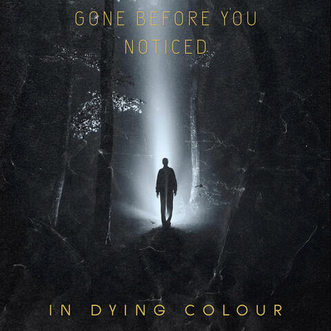 Gone Before You Noticed