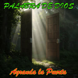 Tarde Te Amé