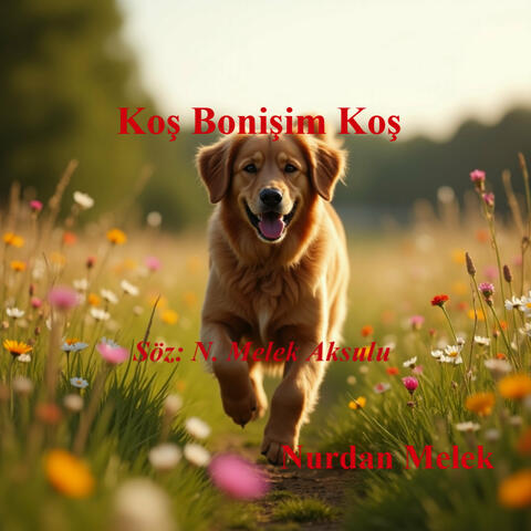 Koş Bonişim Koş