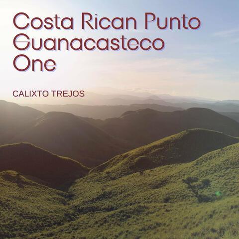 Costa Rican Punto Guanacasteco One