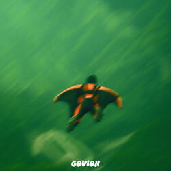 What If You Fly?