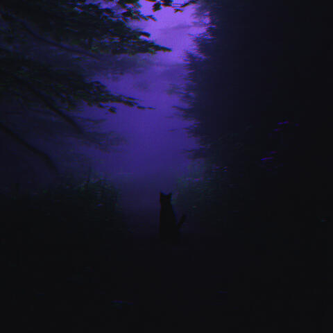 Path to Nowhere