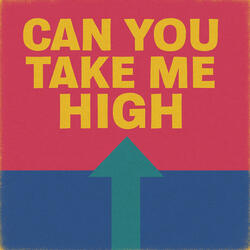 Can You Take Me High