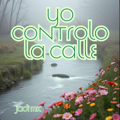 Yo controlo la calle