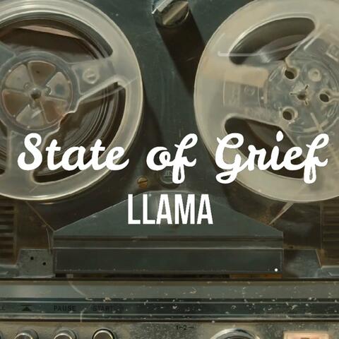State of Grief