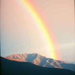 The Rainbow After the Rain