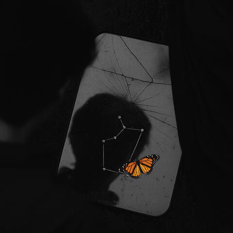 Danaus Plexippus