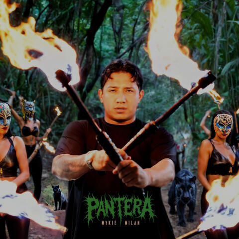 Pantera