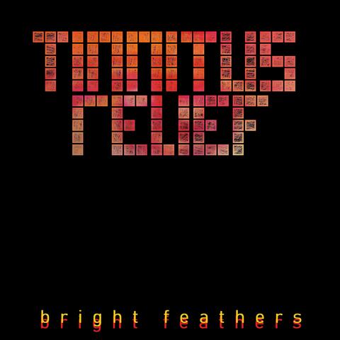 Bright Feathers