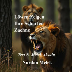 Löwen Zeigen Ihre Scharfen Zähne