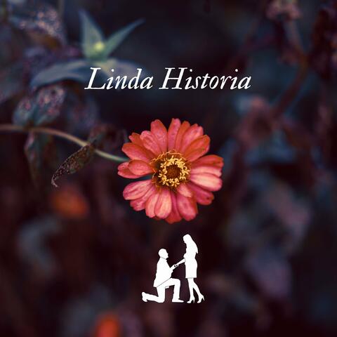 Linda Historia