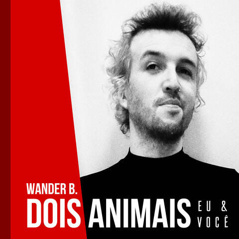 Dois animais (eu e você)