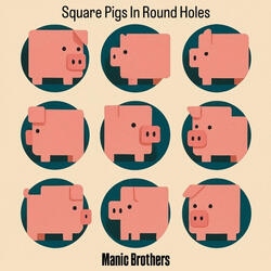 Square Pigs in Round Holes