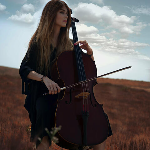 Harmonized