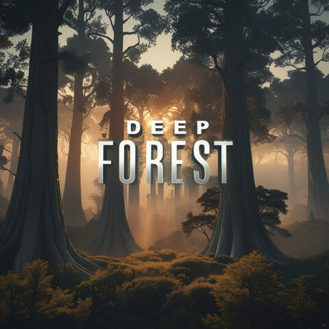 Deep Forest