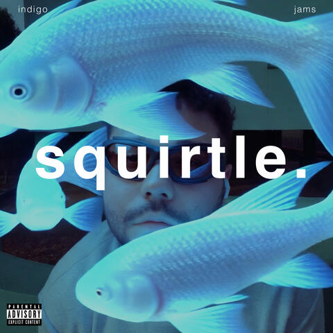 squirtle.