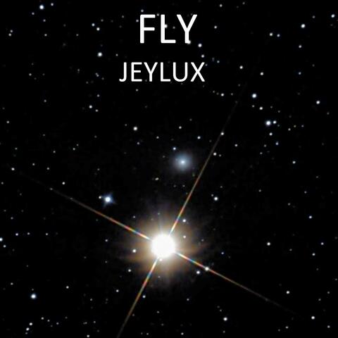 Fly