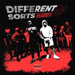 Different Sorts