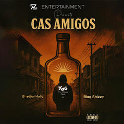 Cas Amigos