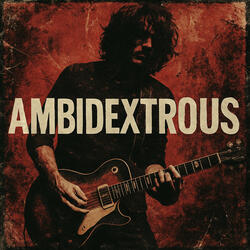 Static Inference (14)