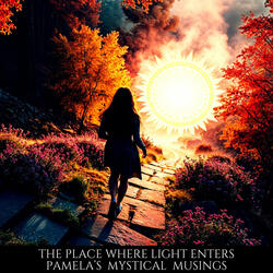 The Place Where Light Enters