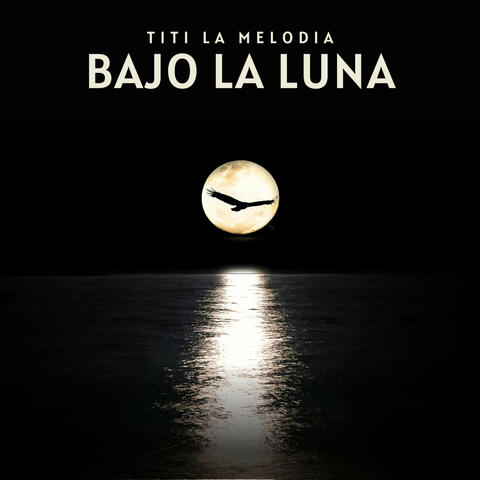 Bajo La Luna